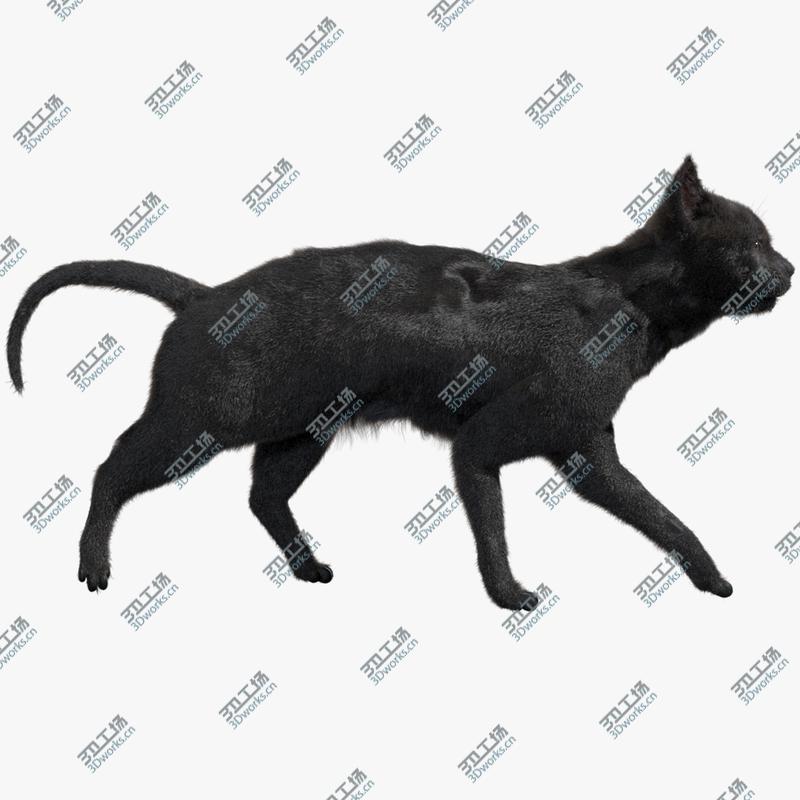 images/goods_img/202104021/3D Black Cat (Rigged) model/1.jpg